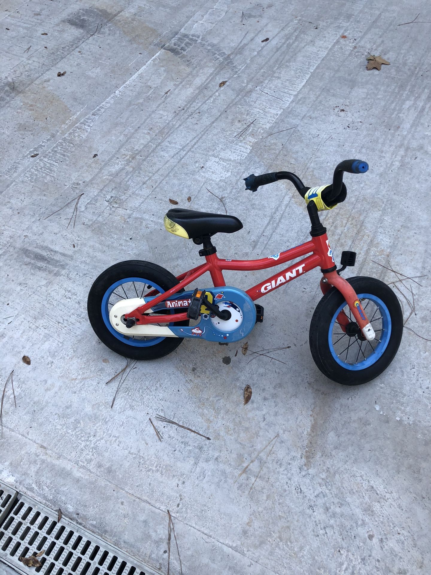 GIANT Kids Bike