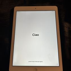 iPad 