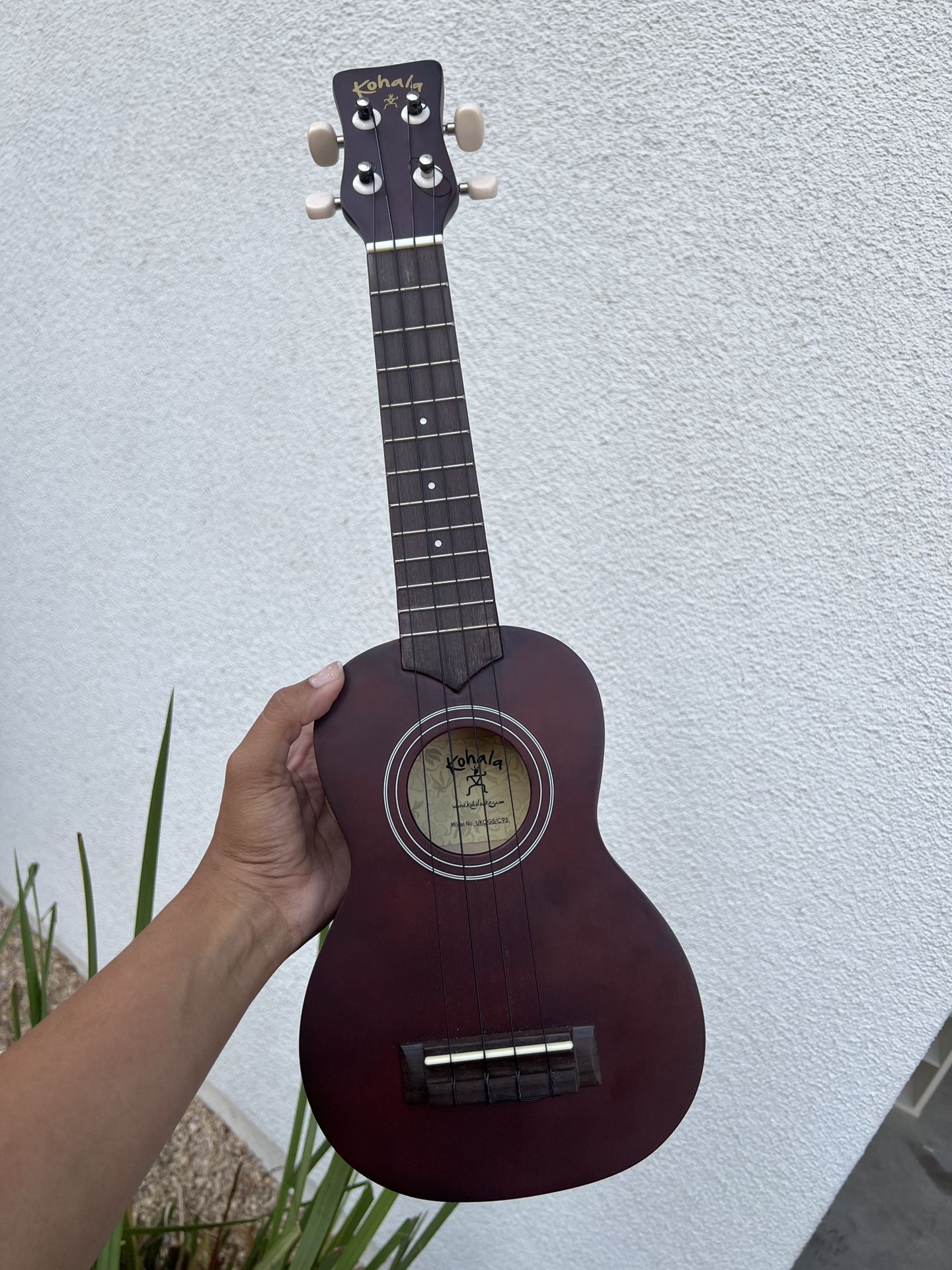 Ukulele