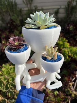 Real Succulent Arrangement