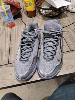 LeBron jamessssss