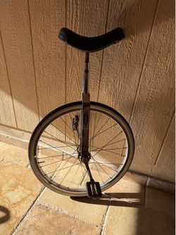 24" Schwinn UNICYCLE