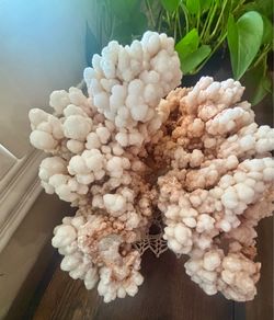Museum-Size 28 lb Botryoidal Aragonite (“Cave Calcite”) Crystal Specimen