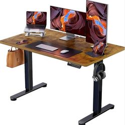 Electric Standing Desk, Height Adjustable, 48 x 24 Inches, Sit/Stand up Desk, Memory Computer Desk