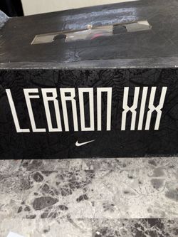 Lebron shoes size17