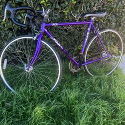 Vintage Fuji Ace Road Bike