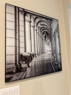 LARGE 28.4” x 28.4” Black & White Framed Wall Art – Modern Architectural Print with Highland Cow