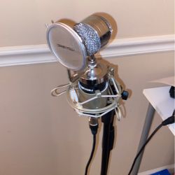 Studio Mic/Stands And Chords