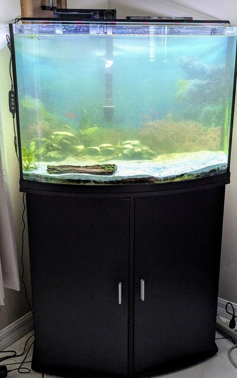 30 Gallon Fish Tank With Stand