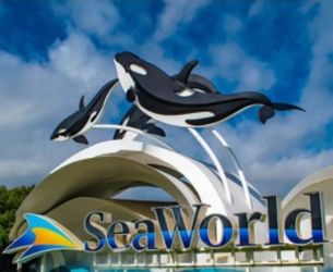 Tickets SeaWorld