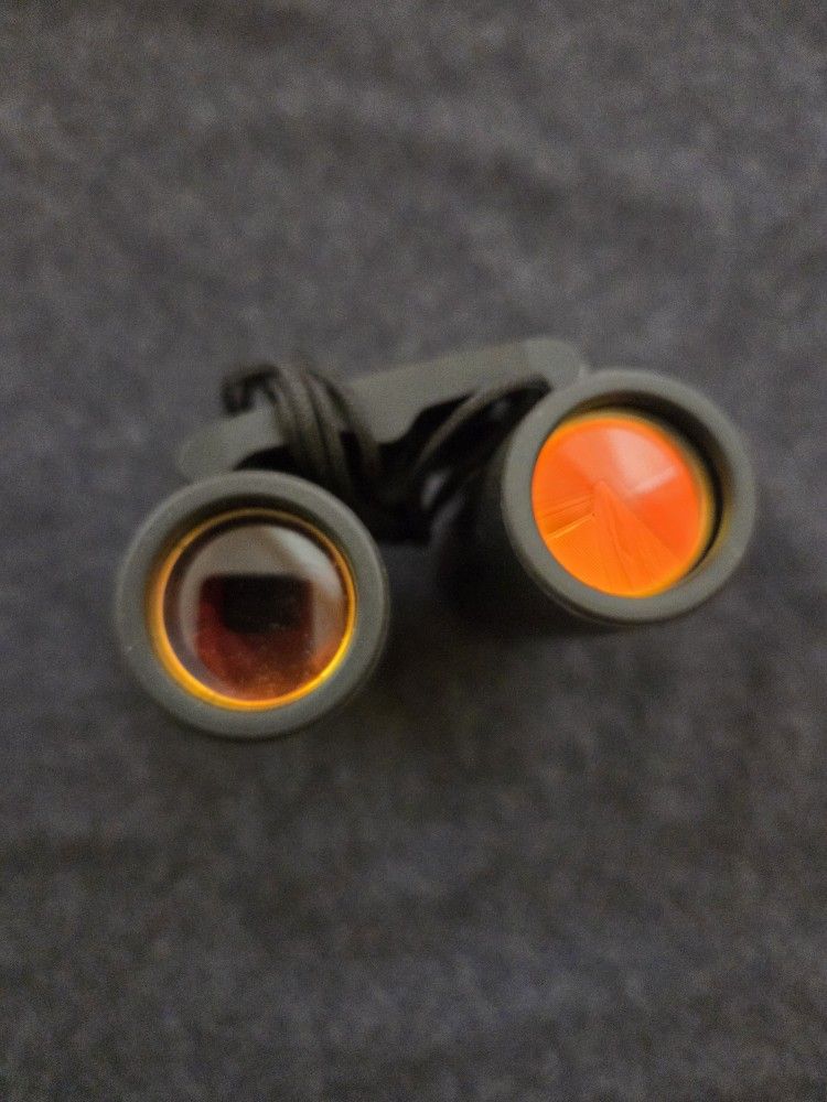 Sakura day and night vision compact binoculars