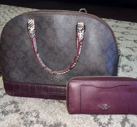Coach Hand Bag And Matching Wallet