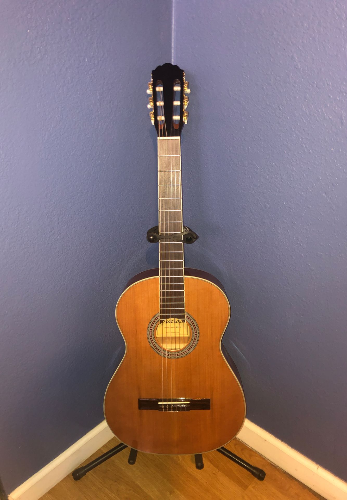 Lucida acoustic guitar