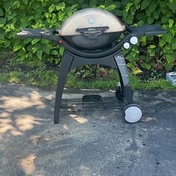 Webber Gas Grill