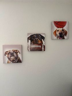 Set of 3 Dog Sports Canvas Wall Art