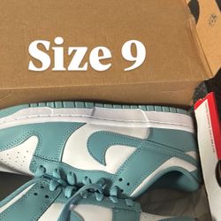 Size 9 Dunks