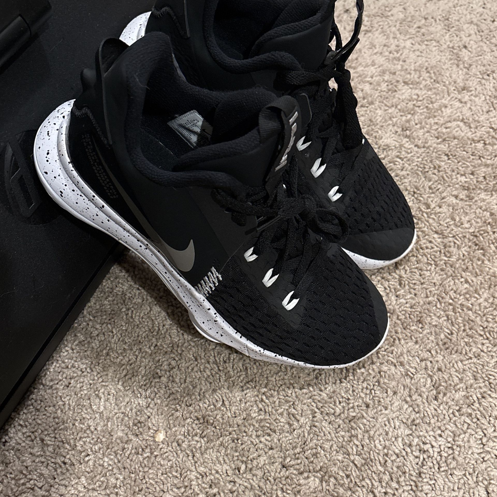 LeBron James Witness 5