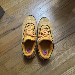 Nike Lebron "XX" Basketball Shoes