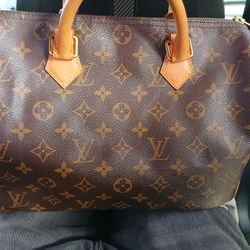 Louis Vuitton Women Bag