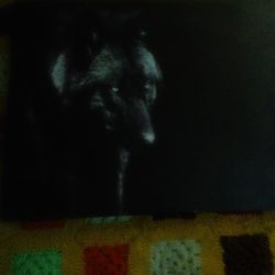 Wolf Painting 