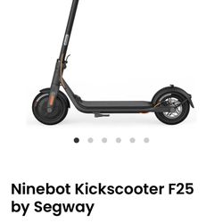 Ninebot Electric Scooter 