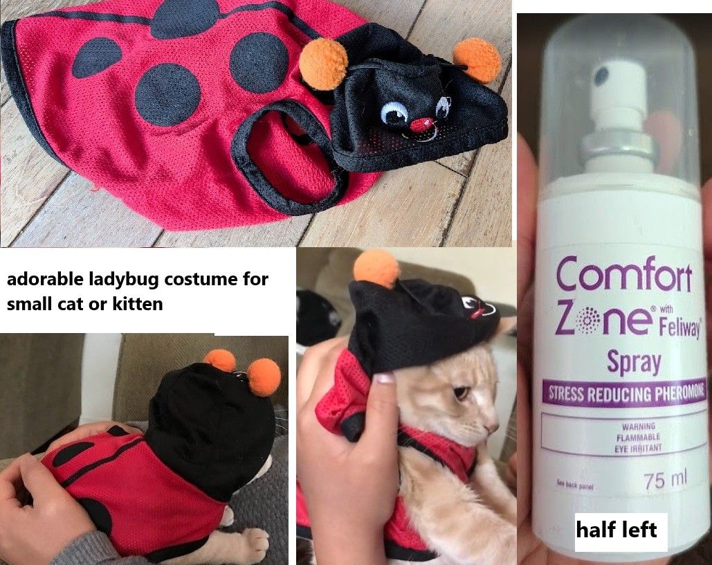 ladybug cat costume outfit ($5), Comfort Zone kitty calming spray Feliway half left ($5)