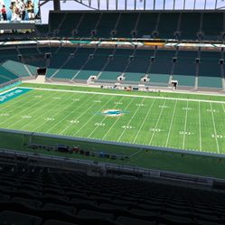 Dolphins Versus Buccaneers