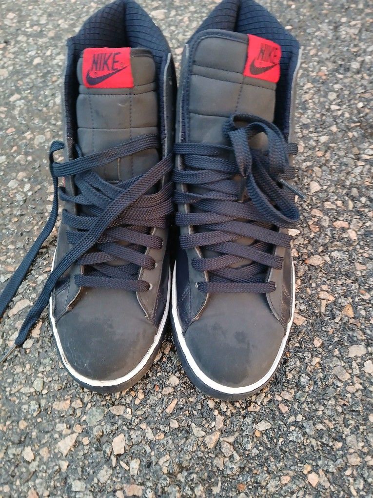 Nike Blazer Leather Skater