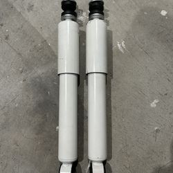 VW Bettle Gas Shocks