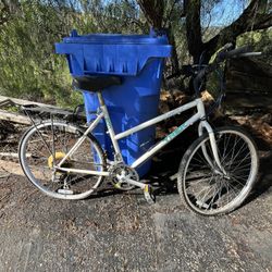 Free Trek Bike