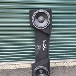 Skar 12 Inch Subwoofer