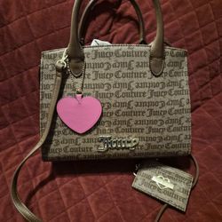 Handbag With Matching Wallet