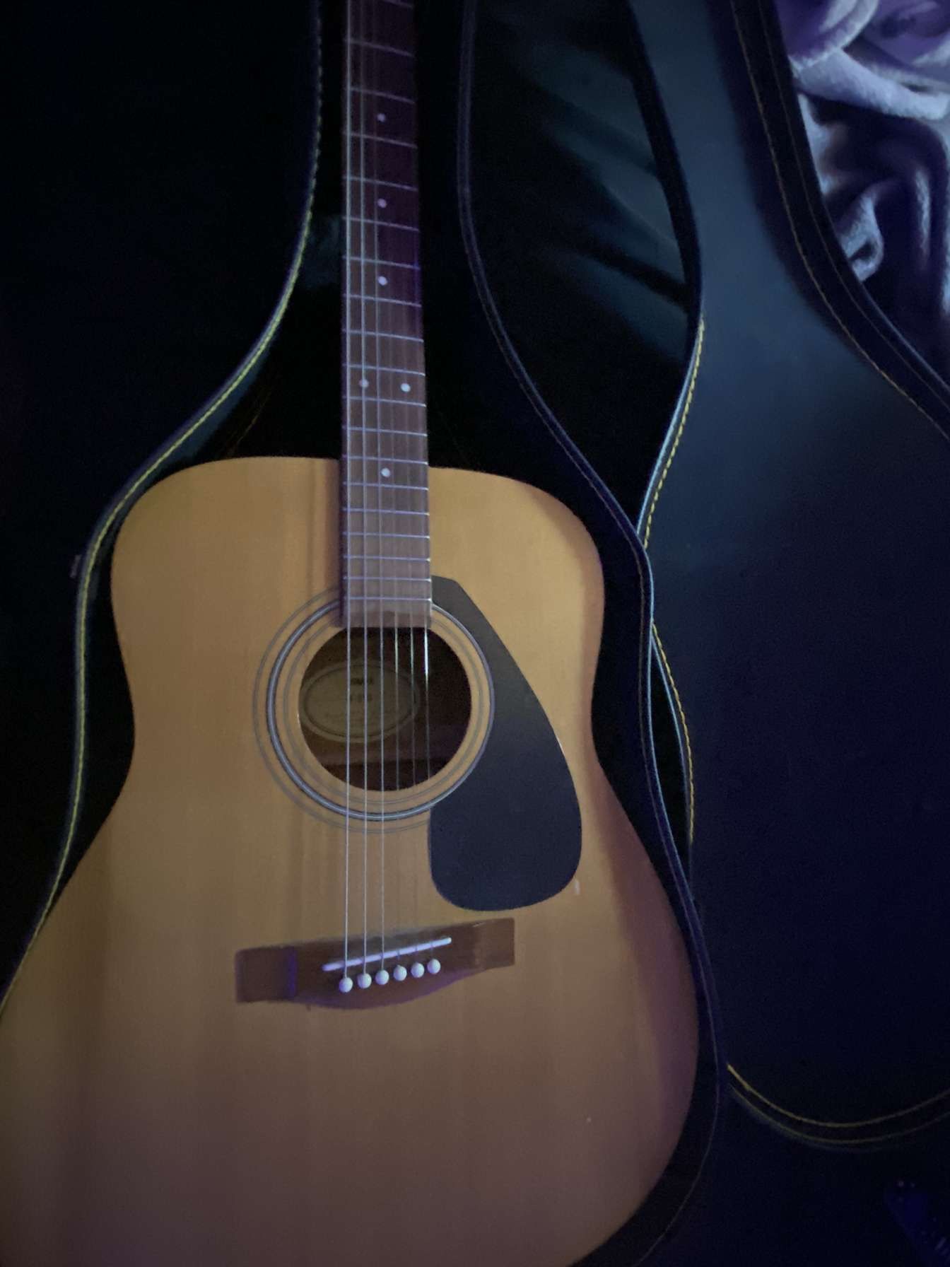 Yamaha F-310 Guitar