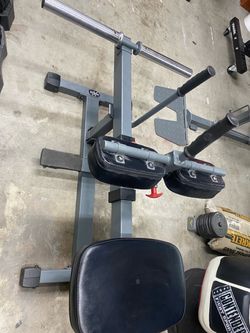 Seated Calf Raise Machine X-Mark Fitness