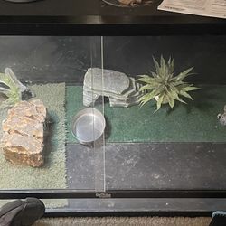 NEED TO TRADE ( Please Read)