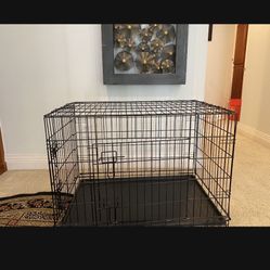 Dog XL - Size Crate In Box
