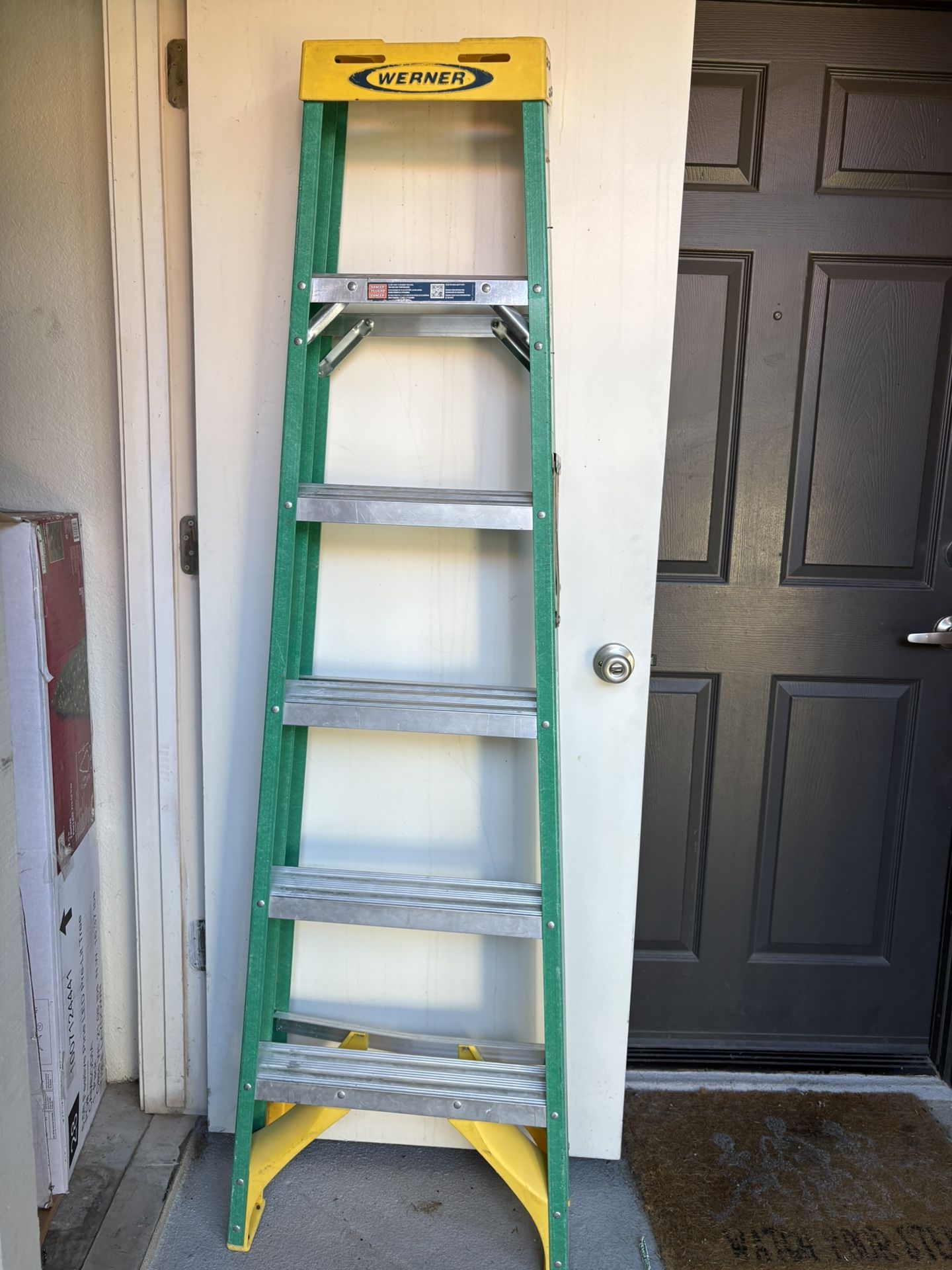 6 Ft Werner Ladder
