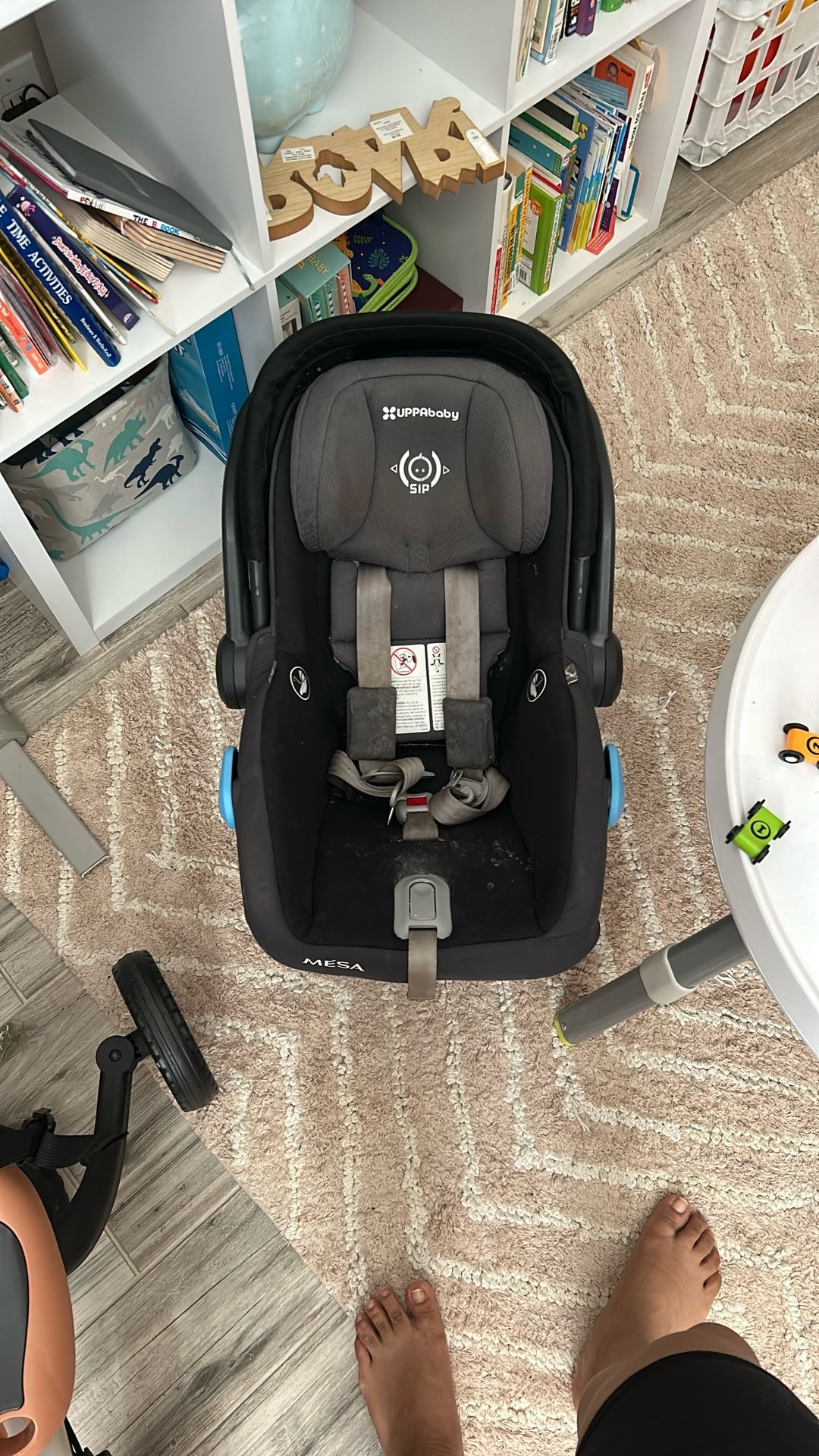 UPPAbaby MESA Infant Car Seat