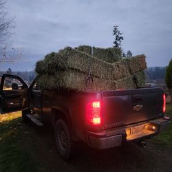 Hay Delivery From King Feed/Servines 