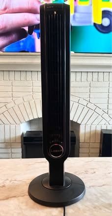 Fan 