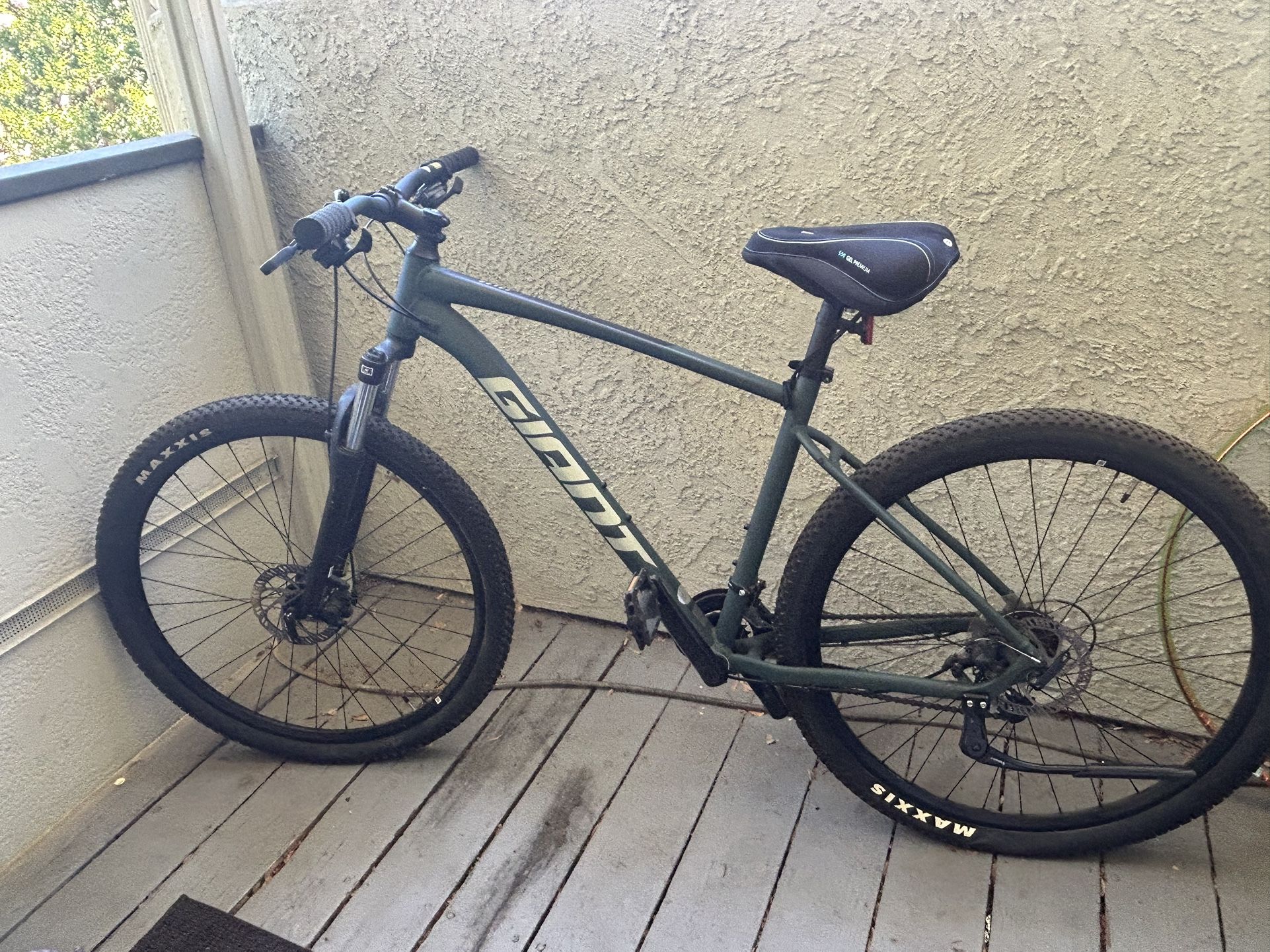 Giant 29”