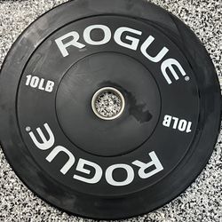 Rogue Fitness Weight Plates 10 lBs