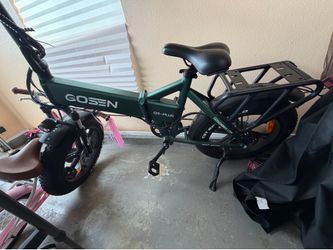 Like New Heavy Duty EBike