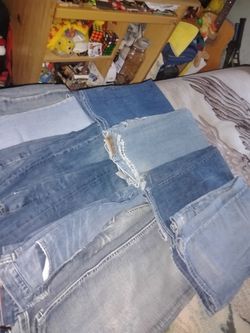 Pants or jeans