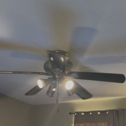 Fan