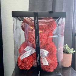 Dose Of Roses- Red Rose Bear 14”