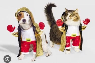 Pet Boxing Champ Frontal Halloween Costume (XL)