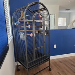 Bird Cage 