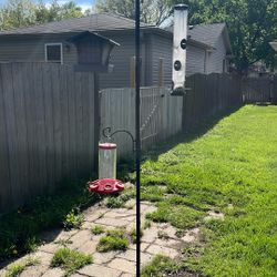 Bird Feeder Setup 