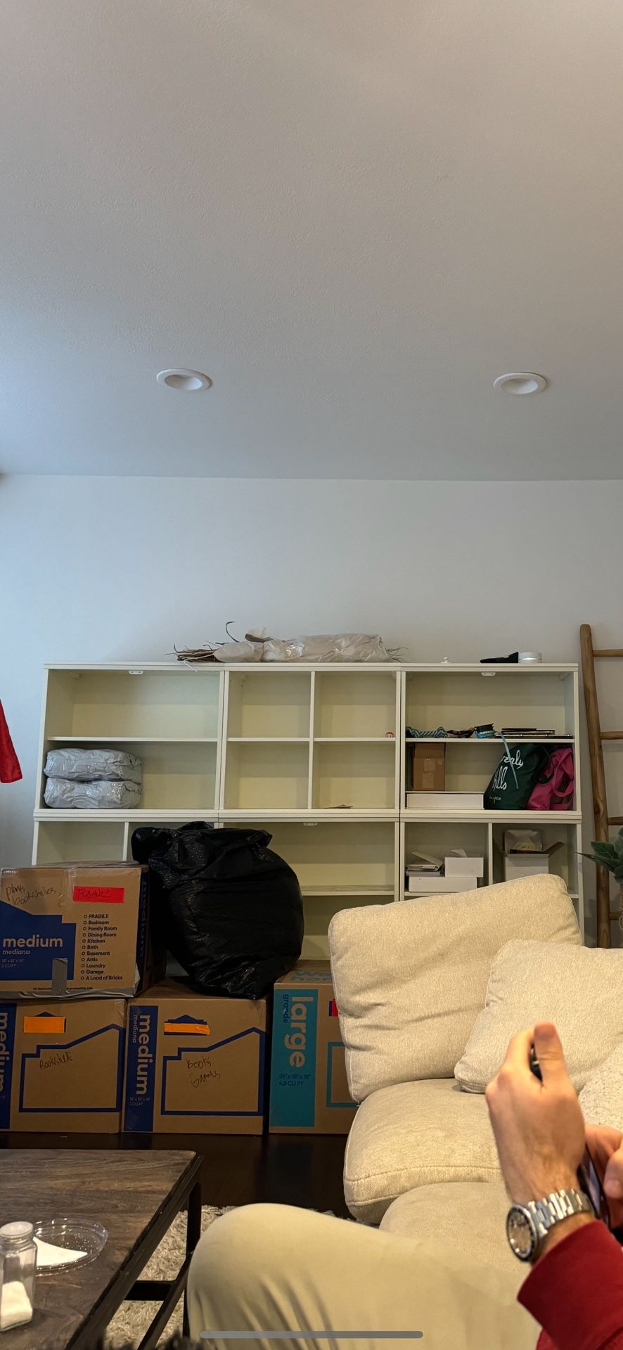 Antique Bookshelves